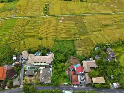 Canggu Land - 1