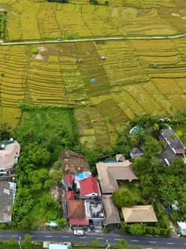 Canggu Land - 1